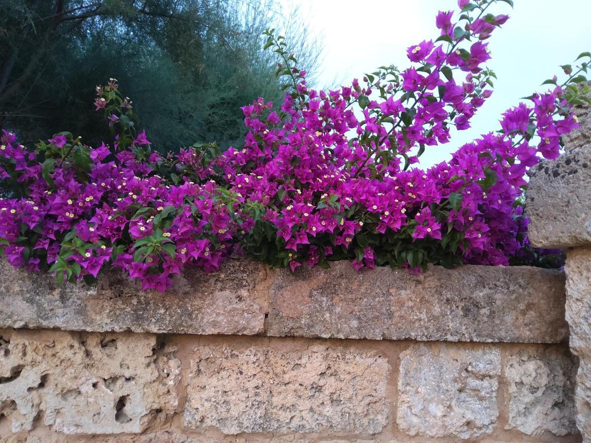 Casetta Vacanza In Campagna Aradeo 외부 사진