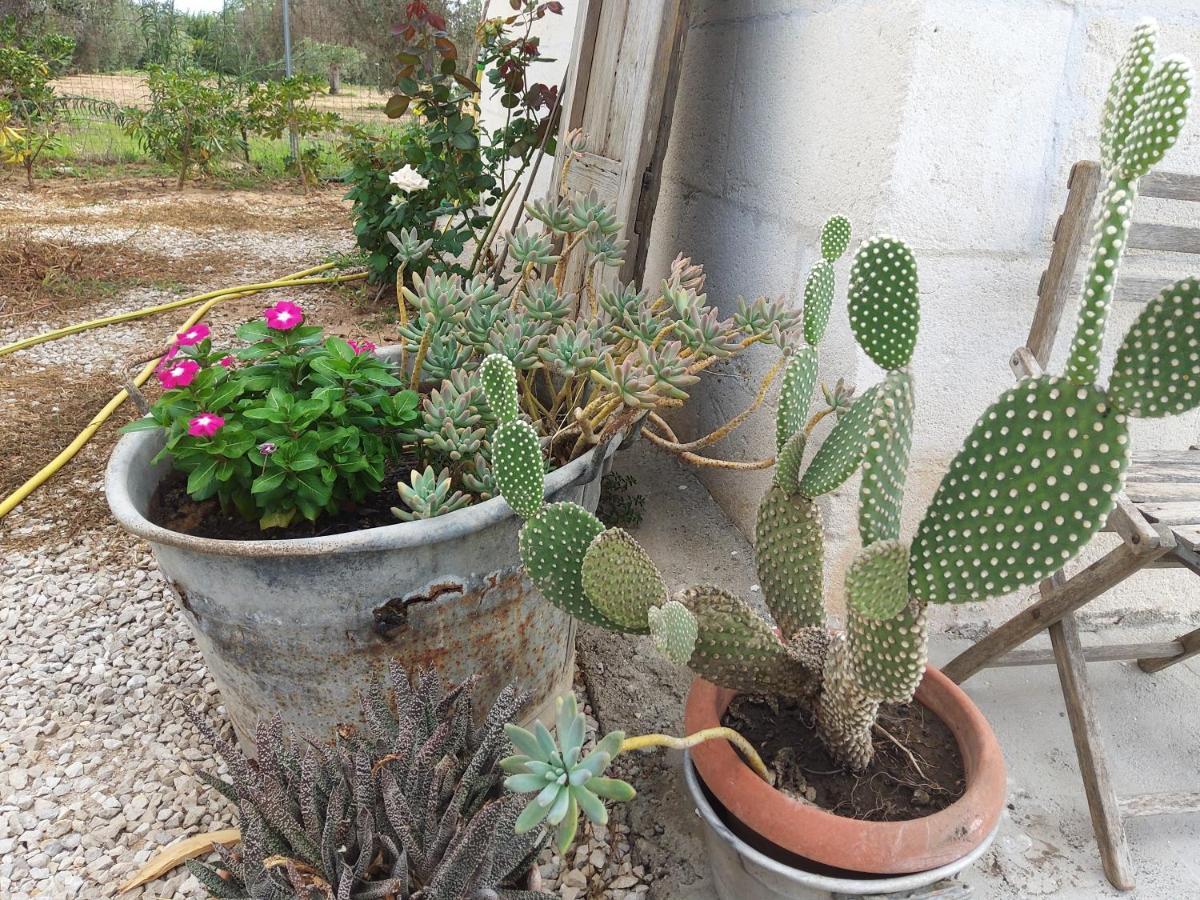 Casetta Vacanza In Campagna Aradeo 외부 사진